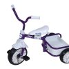 N-Z Tri-Ang | Tri-Ang Tuff Trike Purple