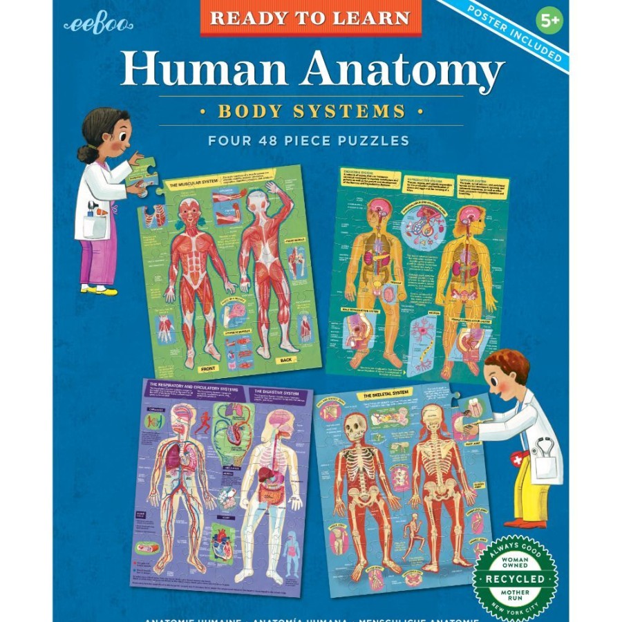 N-Z eeBoo | Eeboo 48Pc Puzzle Ready To Learn- Human Anatomy Set