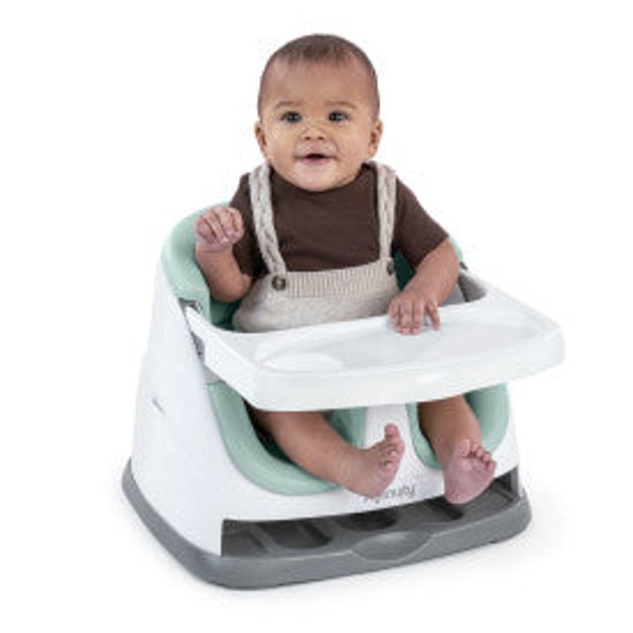 A-C Ingenuity | Ingenuity Base 2 In 1 Seat Mist