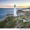 N-Z Puzzle Box | Premium Cut 1000 Piece Jigsaw Puzzle: Castlepoint Lighthouse, Nz