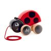 N-Z Hape | Hape Lady Bug Pull Along